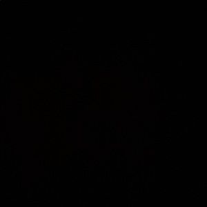 Meet your Posher, Alana